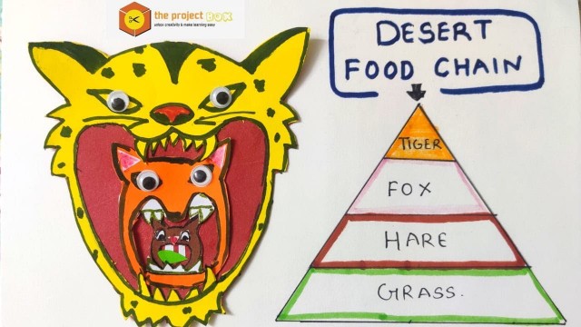 'Desert food chain activity for std 5'