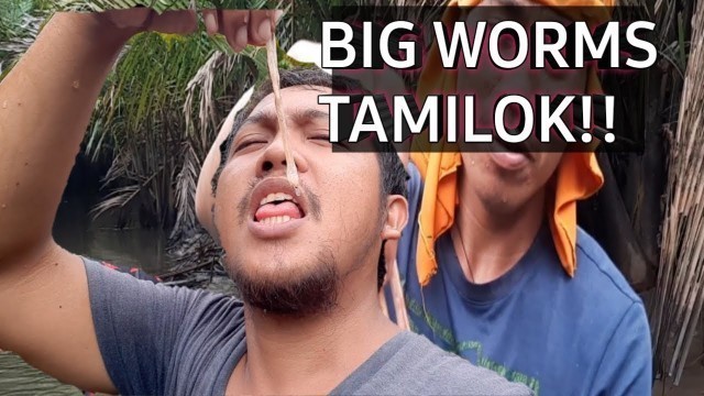 'BIG WOODWORMS| TAMILOK  IN CATEEL DAVAO ORIENTAL| FILIPINO EXOTIC FOOD TASTE LIKE??'