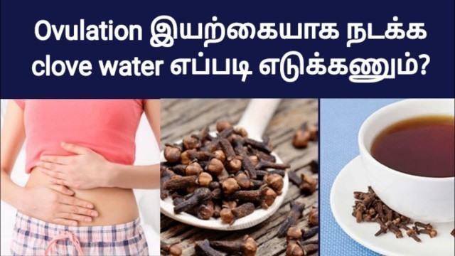 'karumuttai vedika | egg rupture food in tamil | clove water for pregnancy in tamil | pregnancy tips'