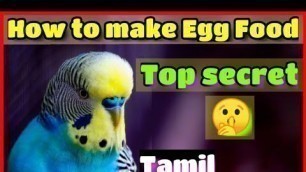 'How to make Egg Food for budgies in Tamil || NK BIRD FARM ||'