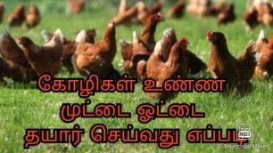 '#egg shell for chicken | tamil | solution for calcium deficiency in hen'