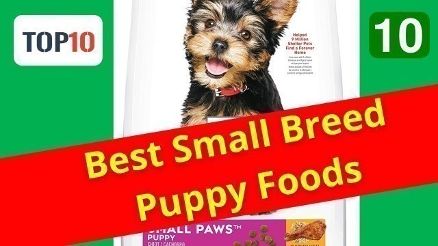 'Top 10 Best Small Breed Puppy Foods- Hill’s Science Diet Small Paws Puppy Food(Reviews)✅Part 10'