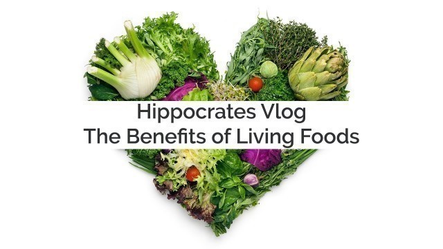 'Hippocrates Vlog: The Benefits of Living Foods'