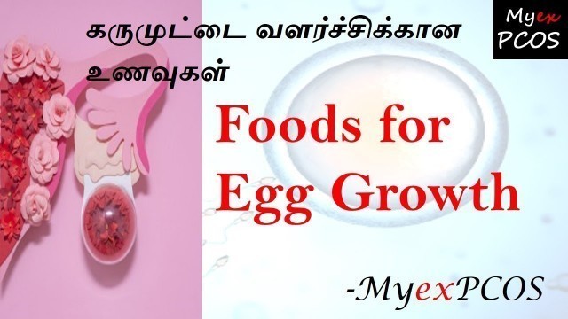 'Foods for Egg Growth in Tamil, கருமுட்டை வளர்ச்சிக்கான உணவுகள், Foods to increase egg counts&quality'