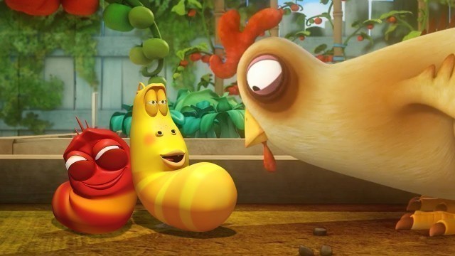 'LARVA - CHICKEN FOOD | Cartoon Movie | Cartoons | Comics | Larva Cartoon | LARVA Official'