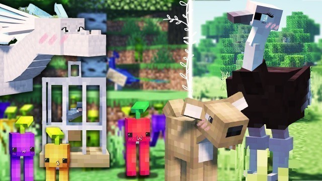 'Adorable Minecraft Mods You Need To Install!'