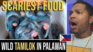 'SCARIEST FOOD! Catching and eating Wild Tamilok in Philippines | REACTION'