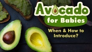 'Introducing Avocado to Babies - When, Why and How?'